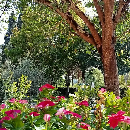 Bed and breakfast Podere Di Sotto *