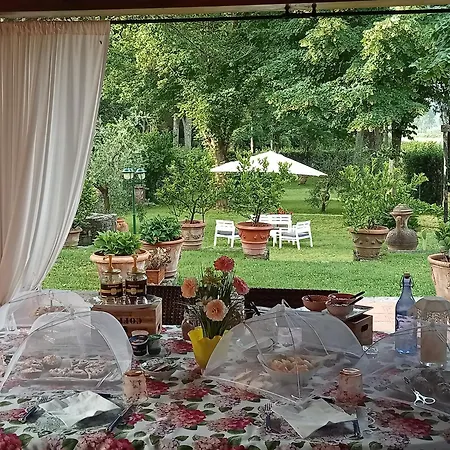 Bed & Breakfast Podere Di Sotto