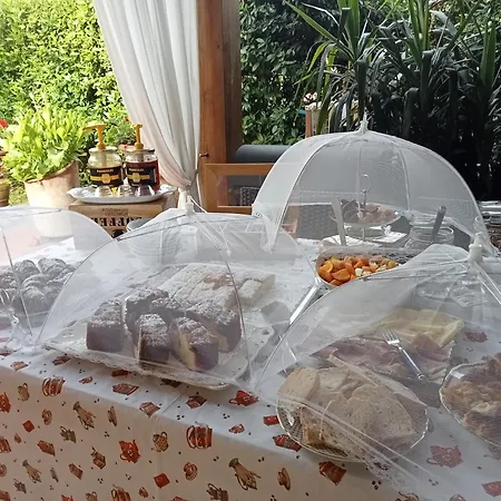 Podere Di Sotto Bed & Breakfast