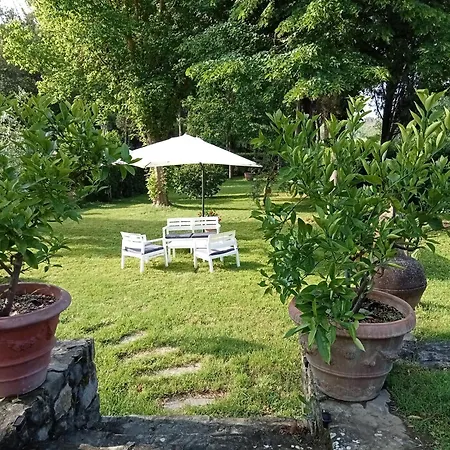 Bed & Breakfast Podere Di Sotto