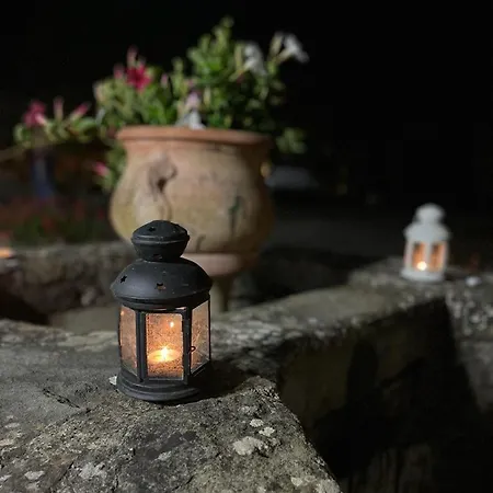 Bed and breakfast Podere Di Sotto 4*