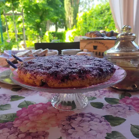 Podere Di Sotto Bed & Breakfast *